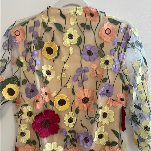 Taylor Swift Grammy Inspired Appliqué Floral Sheer Dress With Open Back Large - Picture 3 of 16